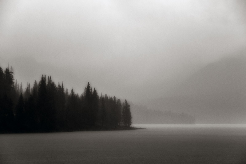 larry-soft-lake-and-trees-700448