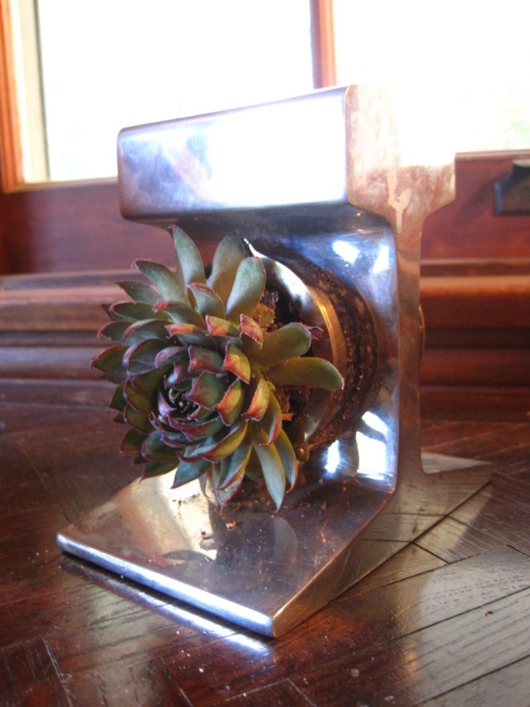 Living Paperweight