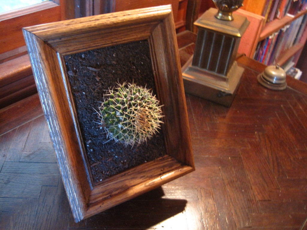 Blooming Cactus Painting