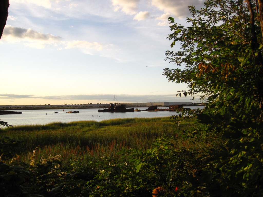 Andrew Carter - Staten Island Ship Graveyard